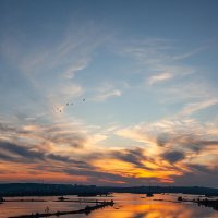 перелетные птицы на закате :: Denis Doroshenko