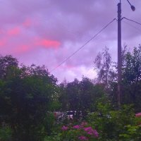 Рассвет :: Сапсан 