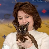 На выставке кошек :: Светлана Ищенко