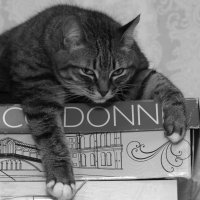 Это моё. :: Сергей Сергеев