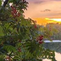 ... :: Андрей ... :: Андрей