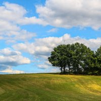 *** :: Waldemar F. *** :: Waldemar F.