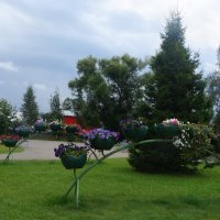 Белоостров :: zavitok *