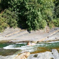 Пластунка. Река Сочи :: Tata Wolf