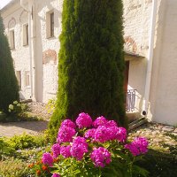 Монастырский  двор :: Сергей Кочнев