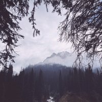 Сейчас в горах хорошо :: Георгиевич 