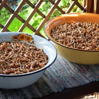 Начинаем переработку :: Татьяна Лютаева