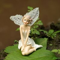 О феях августа..... :: Андрей Заломленков