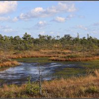 *** :: Aleksandr Gal