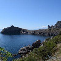 Природа Крыма :: Amazing Cosmea