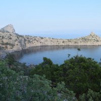 Природа Крыма :: Amazing Cosmea