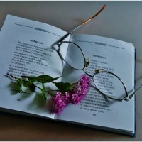 СТИХИ... :: Elvira E. 