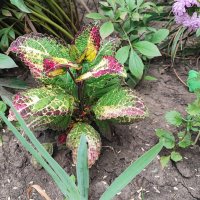 ,,, :: Сергей Тимоновский