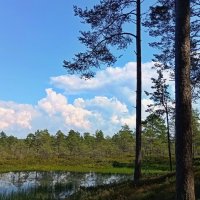 Прогулки на природе .. :: Татьян@ Ивановна Прогулки на природе .. :: Татьян@ Ивановна