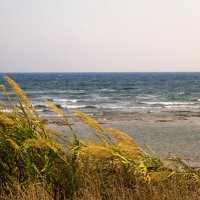 Кипр. Айя-Напа :: Андрей 