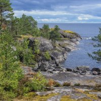 *** :: Сергей Могутов *** :: Сергей Могутов