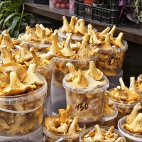 Кто-то собирает, а кто-то покупает... :: Валентина *