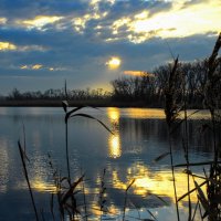 Утро. :: Владимир 