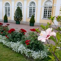 Цветы Оранжерейного сада. :: Лия ☼ Цветы Оранжерейного сада. :: Лия ☼