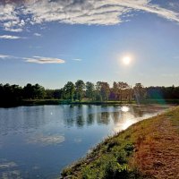 Вечернее солнце. :: Лия ☼ Вечернее солнце. :: Лия ☼