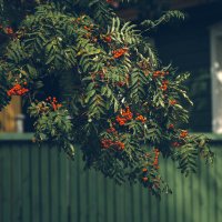 Суздаль такой Суздаль :: Вячеслав Владимирович