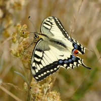 из снятого сегодня 5 :: Александр Прокудин из снятого сегодня 5 :: Александр Прокудин