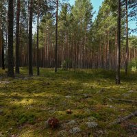 первая удача :: сергей первая удача :: сергей