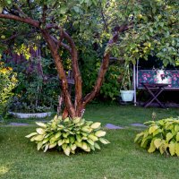 За городом :: Виктор Орехов За городом :: Виктор Орехов