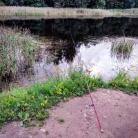 Все под контролем ) :: Veera V Все под контролем ) :: Veera V