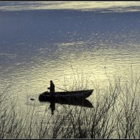 *** :: Aleksandr Gal