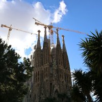 Вековая стройка :: Ольга Вековая стройка :: Ольга