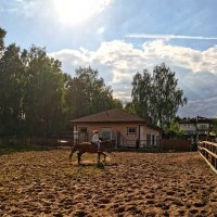 *** :: Любимова Ольга 