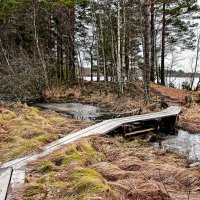 Природа манит :: Alexandеr P