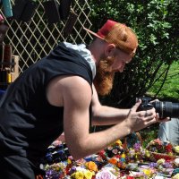 Поклонник розочек,,,,) :: Анатолий Колосов