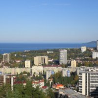 Сочи :: Рита Симонова