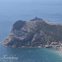 Природа Крыма :: Amazing Cosmea