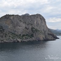 Природа Крыма :: Amazing Cosmea