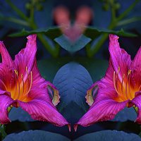 Летняя композиция :: Владимир Кроливец