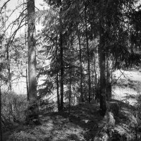 Назва. отсу. :: Денис Безногов