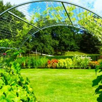 Ботанический сад украсился круговыми конструкциями :: Aida10 