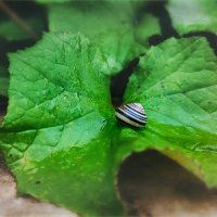 U :: AZ east3 U :: AZ east3