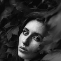 Портрет :: Никита Романов