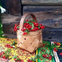 Из леса! :: Нина Андронова