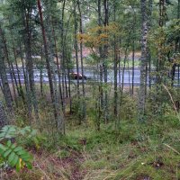 вид с Горы смерти на Приморское шоссе :: zavitok *