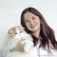 Выставка кошек :: Светлана Ищенко