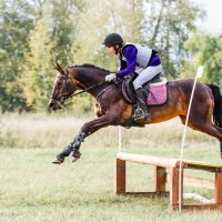 Кросс :: SanSan 