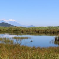 лето уходит :: Александр Белов