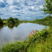 Июль на озере :: Александр Синдерёв Июль на озере :: Александр Синдерёв