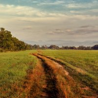 раздолье :: Елена раздолье :: Елена