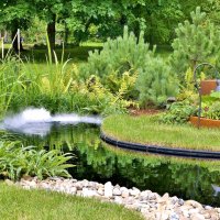 ЦАРИЦЫНО :: АЛЕКСАНДР 